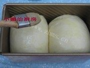 自制醇奶土司