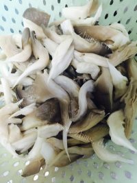 简单的香炸蘑菇做法图解1)