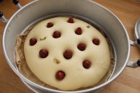 美味的红枣玉米面发糕