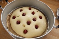 美味的红枣玉米面发糕