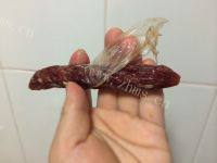 家常荷兰豆炒腊肠做法图解3)