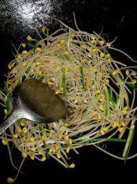 色味俱全的五花肉炒黄豆芽做法图解6)