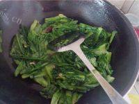 家常菜炝炒油麦菜做法图解7)