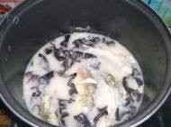 美味的鲫鱼木耳汤