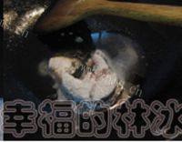 香辣鱼块自制做法图解3)