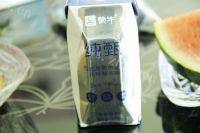 自制欧式瘦身西瓜芒果酸奶做法图解3)