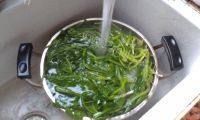酥脆蒜香菠菜做法图解7)