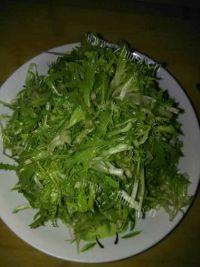 简单的凉拌苦菊