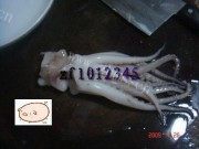 美味的香辣鲜鱿做法图解2)