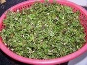 美味的地菜春卷做法图解4)