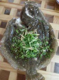 家常菜清蒸多宝鱼