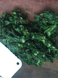 口感不错的荠菜鲜肉饺子做法图解1)