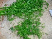 自己做的茴香蛋饼做法图解1)