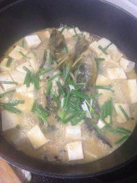 家常菜昂刺鱼烧豆腐