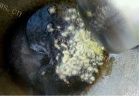 西红柿鸡蛋汤做法图解2)