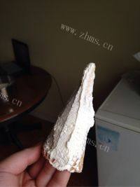 自制圣诞树蛋糕做法图解16)