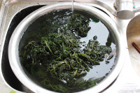 海菜包子做法图解3)