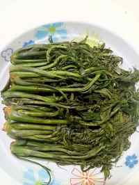 自制香椿咸菜做法图解15)