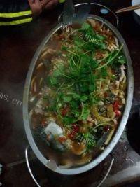 美味的跳水鱼