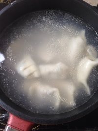煮水饺做法图解4)