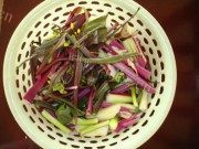 清炒红菜苔做法图解1)