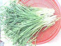 简单的韭菜猪肉饺做法图解2)