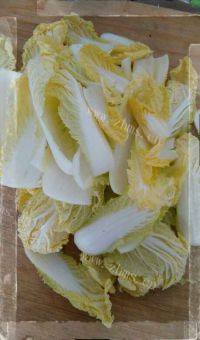 家常菜清炒娃娃菜做法图解1)