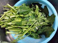 菠菜粉丝做法图解2)