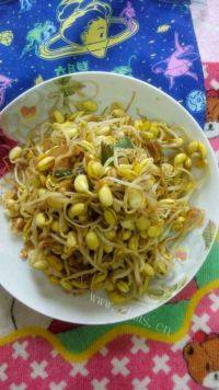 家常菜爆炒黄豆芽