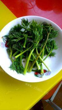 刺龙芽摊鸡蛋做法图解1)