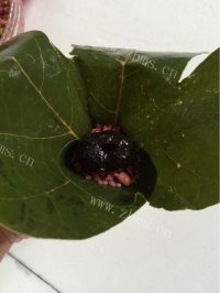 好吃的八宝蜜枣粽做法图解12)