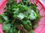 蒜香木耳菜做法图解1)