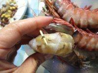 美味的盐水大虾做法图解2)