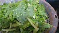 家常菜清炒白菜苔做法图解1)
