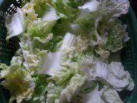 家常菜辣炒白菜做法图解2)