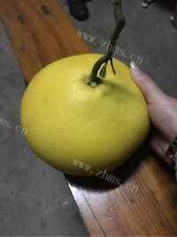 美味的糖渍文旦皮做法图解1)
