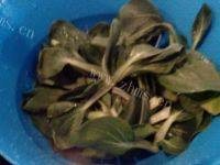 家常菜香菇扒油菜做法图解1)