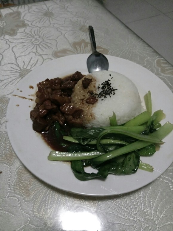 诱人的卤肉饭