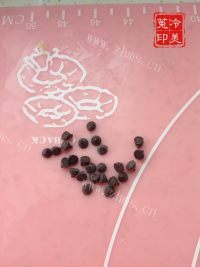 自制南瓜饼干做法图解2)