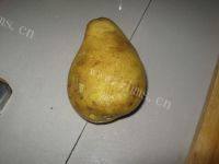 家常菜土豆丝炒肉丝做法图解3)