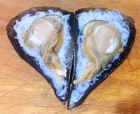 美味的蒜蓉粉丝蒸带子做法图解5)