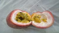 自制百香果慕斯蛋糕做法图解9)