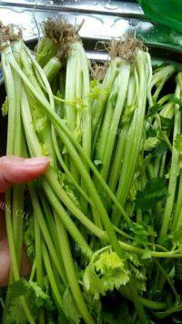 简单芹菜肉丝做法图解3)