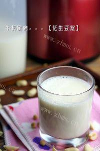 美味的花生豆浆