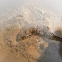 可口的炸虾球做法图解4)