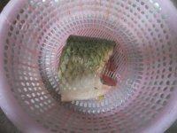 简单版红烧草鱼做法图解1)