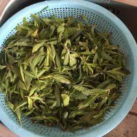 美味的山苜楂包子做法图解1)