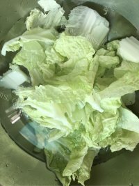 美味的脊骨白菜炖粉条做法图解5)