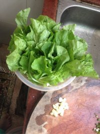 家常菜蒜香小青菜做法图解1)