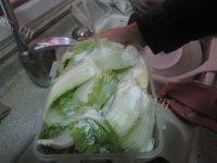 家常菜大骨炖酸菜做法图解4)